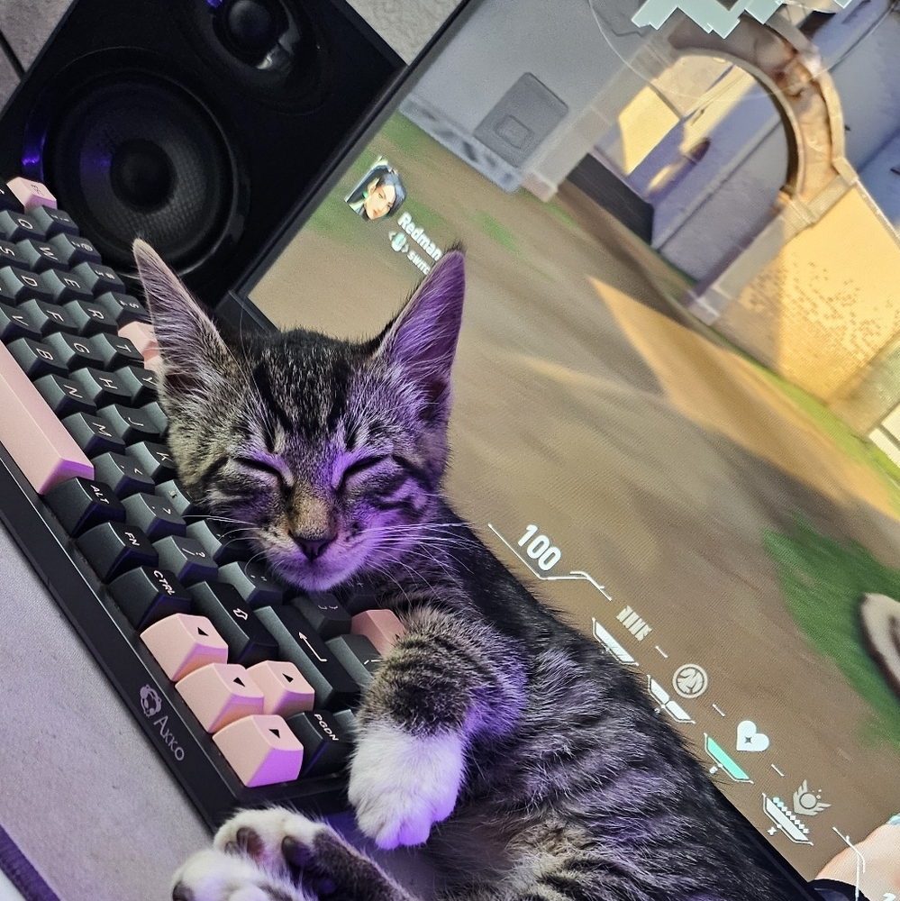 Meet your Posher, Mauve